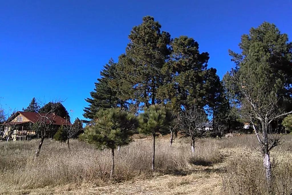 Гостевой дом Rancho Pitorreal Уйчигомачи Экстерьер фото